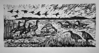 15cm x 22cm